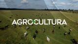 AgroCultura - Os impactos das mudanças climáticas na produção brasileira de soja