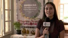 Esalq Notícias 417/2025 - Esalq abre exposição “Desmistificando as plantas medicinais”