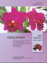 Especial - Orquídeas | DIVISÃO DE BIBLIOTECA