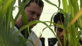 Mundo Extensão Esalq USP - Grupo de Extensão em Microbiologia do Solo - GMICS