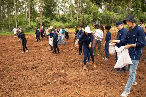Funcionários da Hyundai participam de plantio em semeadura direta