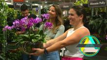 TV USP Informa n.º 83