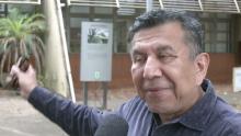 Esalq Notícias 377/2024 - Campanha de Combate a Febre Maculosa