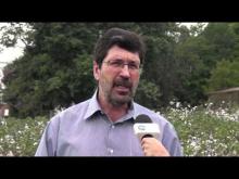 TV USP Informa n.º 31
